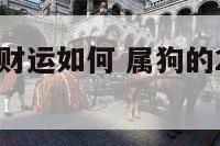 属狗今后的财运如何 属狗的2021财运如何