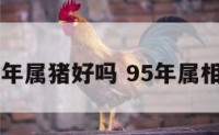95年属猪好吗 95年属相猪