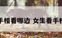 女孩看手相看哪边 女生看手相看哪边