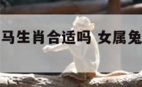 女属兔男属马生肖合适吗 女属兔男属马婚姻配吗