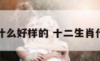 十二生肖什么好样的 十二生肖什么比较好