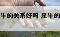 属牛的和属牛的关系好吗 属牛的和属牛的在一起好吗