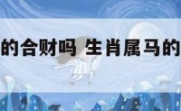 属马和属鸡的合财吗 生肖属马的和属马的配对可以吗?