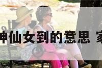 家中求神仙女到的意思 家里神仙