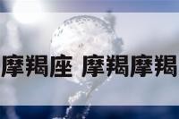 歌曲摩羯座 摩羯摩羯的歌