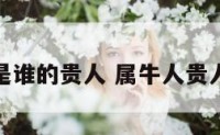 属牛是谁的贵人 属牛人贵人是谁