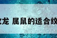 96属鼠的纹龙 属鼠的适合纹龙吗在哪里