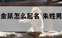 朱姓男宝宝金鼠怎么起名 朱姓男宝宝金鼠怎么起名字