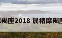 属猪摩羯座2018 属猪摩羯座2021