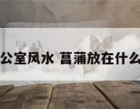 菖蒲在办公室风水 菖蒲放在什么位置风水