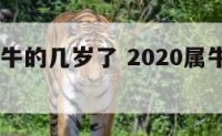 2020属牛的几岁了 2020属牛的多大年龄