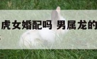 男属龙和属虎女婚配吗 男属龙的和女属虎的结婚好不好