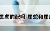 属蛇的跟属虎的配吗 属蛇和属虎相配吗?