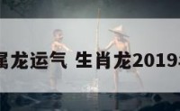 2019属龙运气 生肖龙2019年运势