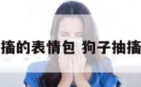 狗狗抽搐的表情包 狗子抽搐表情包