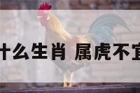 属虎不能生什么生肖 属虎不宜生子的属相