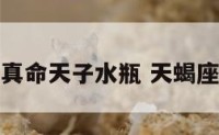 天蝎座的真命天子水瓶 天蝎座的水瓶座