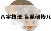 盲派命理排八字技法 盲派秘传八字命理真诀