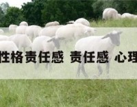 性格责任感 责任感 心理