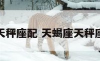 天蝎座天秤座配 天蝎座天秤座配不配