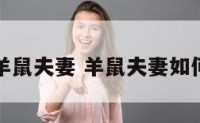 明星羊鼠夫妻 羊鼠夫妻如何化解