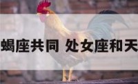 处女座天蝎座共同 处女座和天蝎座夫妻