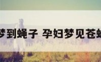 孕妇梦到蝇子 孕妇梦见苍蝇和蛆