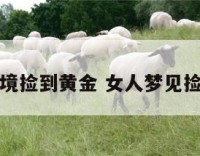 女人梦境捡到黄金 女人梦见捡到黄金