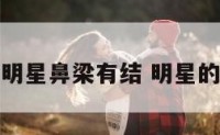 哪个明星鼻梁有结 明星的鼻梁