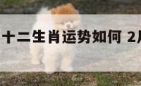 2月16日十二生肖运势如何 2月16日属什么