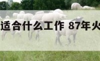 87年火命适合什么工作 87年火命找那年的好