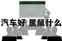 属鼠什么颜色汽车好 属鼠什么颜色车最吉利