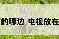 电视放在客厅的哪边 电视放在客厅的哪边好