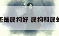 属蛇好还是属狗好 属狗和属蛇谁旺谁