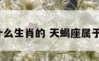 天蝎座属什么生肖的 天蝎座属于什么生肖?