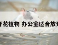 办公室放开花植物 办公室适合放开花植物吗