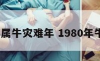 1980年属牛灾难年 1980年牛年运程