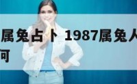 1987年属兔占卜 1987属兔人的全年运势如何