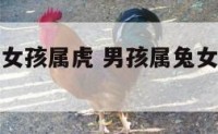 男孩属兔的女孩属虎 男孩属兔女孩属虎的婚配怎么样