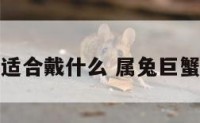 属兔巨蟹座适合戴什么 属兔巨蟹座幸运数字