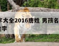 男孩名字大全2016唐姓 男孩名字大全2016唐姓李