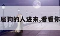 属狗大连 属狗的人进来,看看你们的命运!