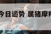 属猪魔蝎座今日运势 属猪摩羯座运势2021年运势