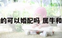 属牛和属兔的可以婚配吗 属牛和属兔般配吗