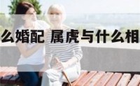 属虎的和什么婚配 属虎与什么相配结婚比较好