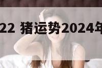 猪运势2022 猪运势2024年运势每月分析