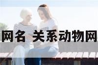 关系动物网名 关系动物网名怎么取