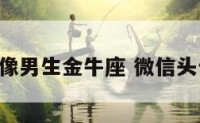 微信头像男生金牛座 微信头像 金牛