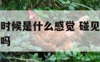 碰见死人的时候是什么感觉 碰见死人了会对运势有影响吗