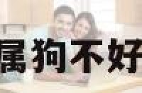 为什么有人说属狗不好 为什么我属狗